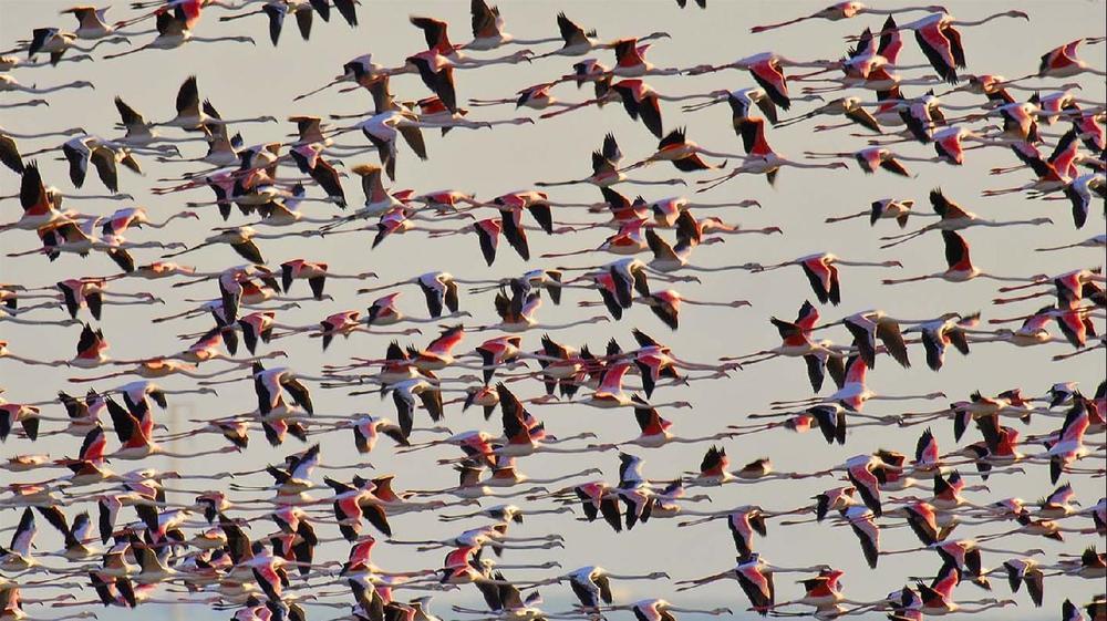 Los Helechos Sanlucar de Barrameda Bagian luar foto